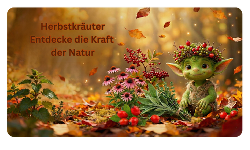 Mehr über den Artikel erfahren Herbstkraeuter